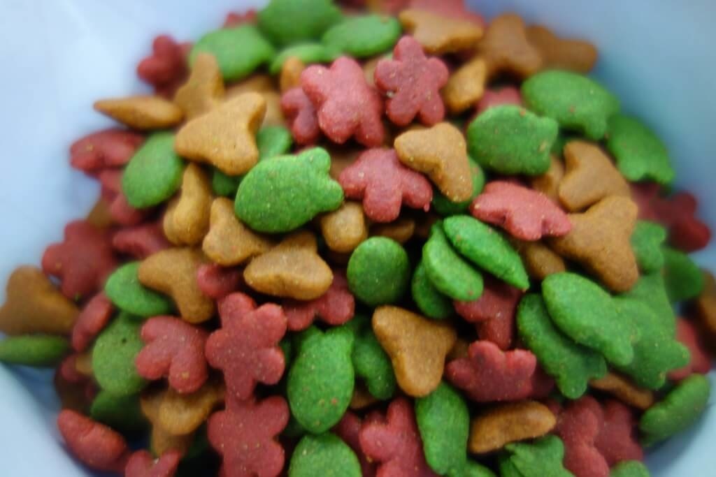 Pet food colorful