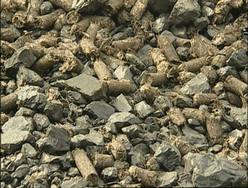 Biomass pellets mixed with coal