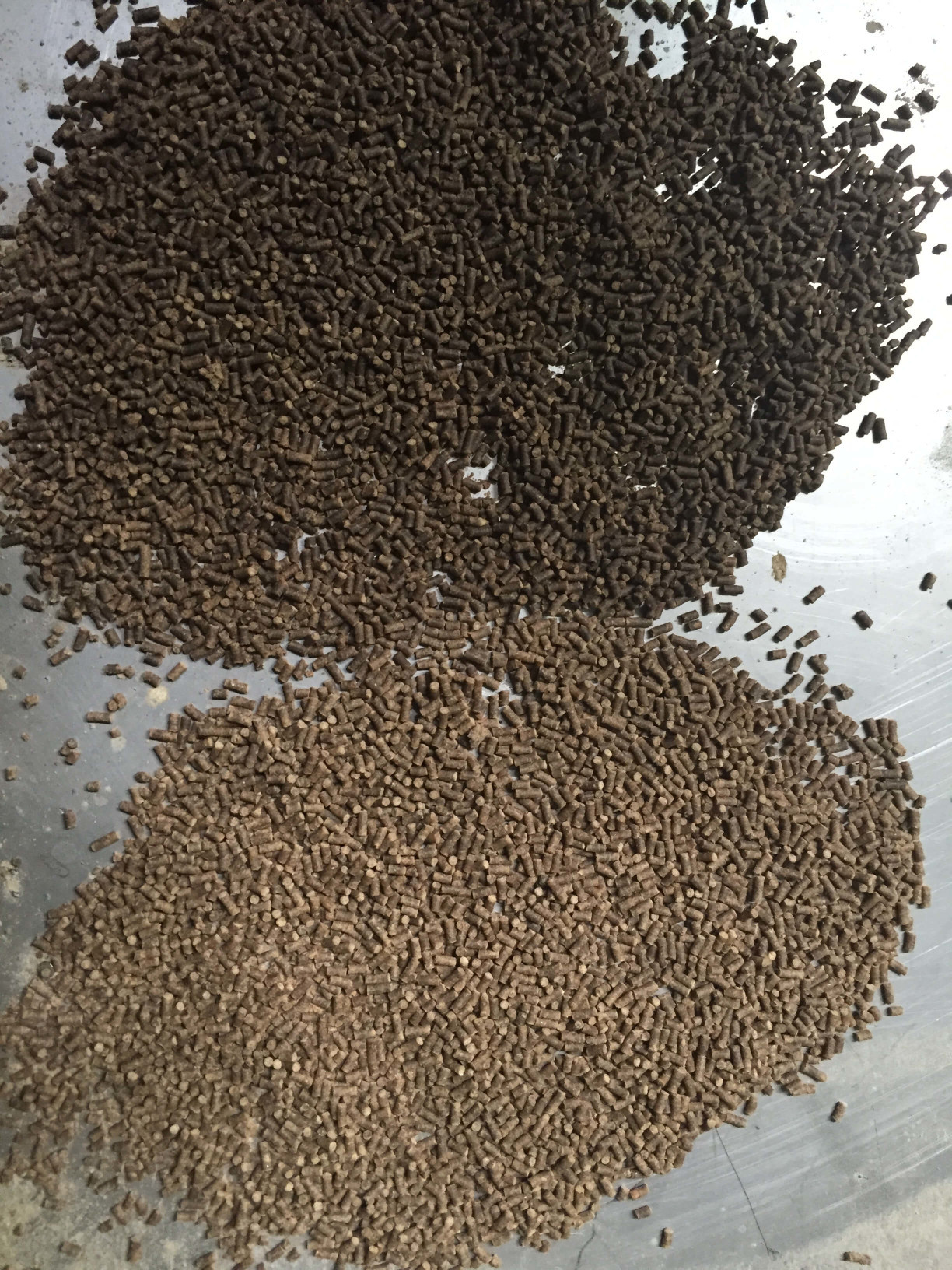 Photos of post-pelleting and post drying 1.6 mm shrimp feed pellets