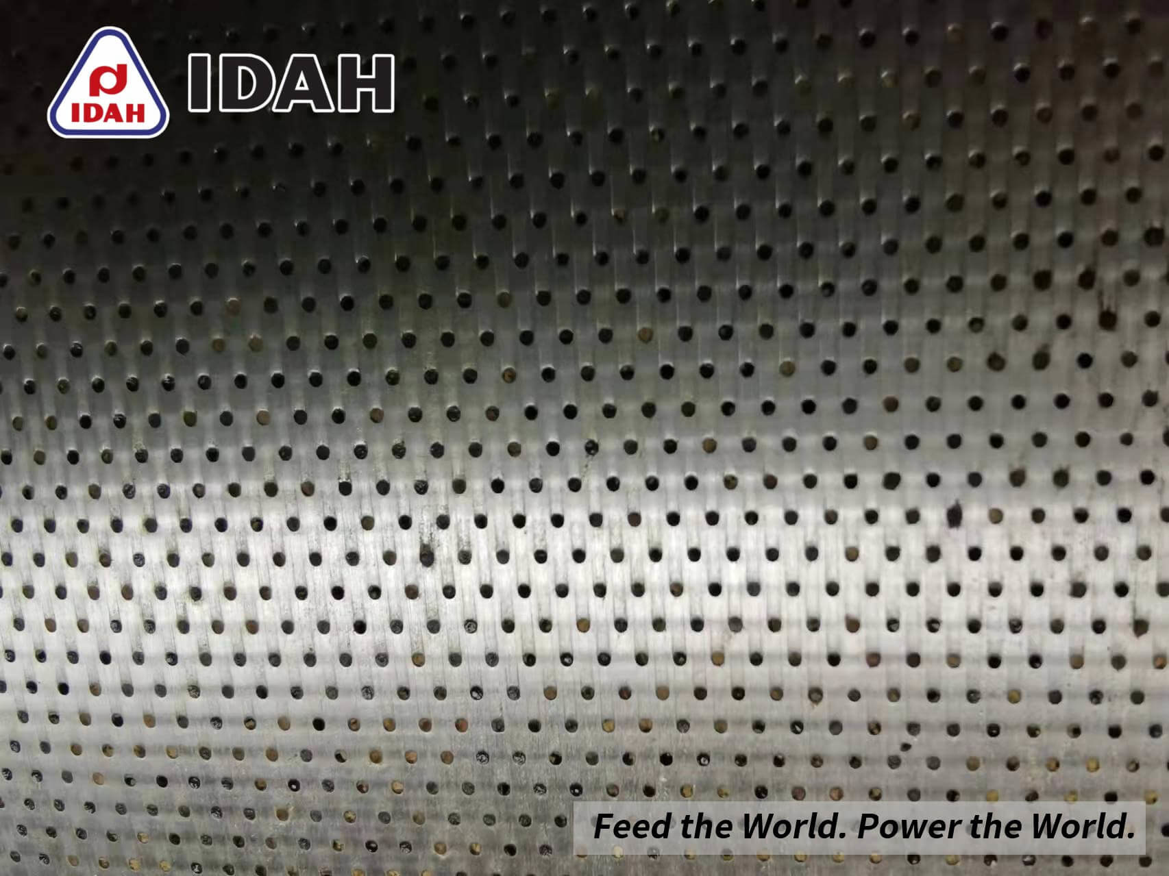 0.8 mm pellet die produced by IDAH