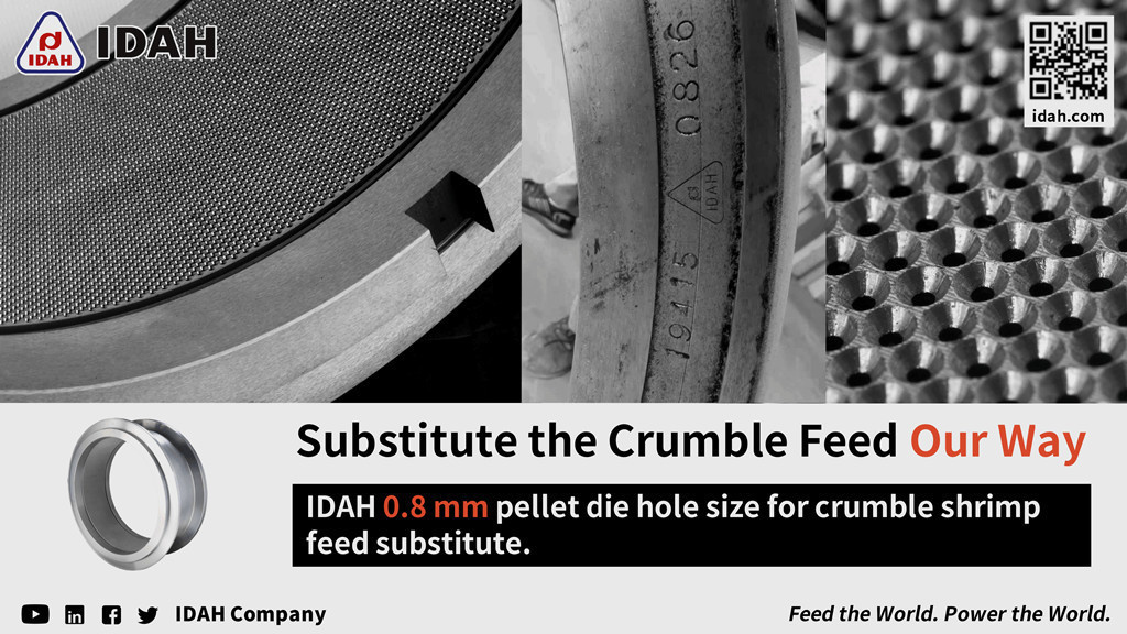 0.8 mm pellet dies for the production of shrimp feed crumble substitute.