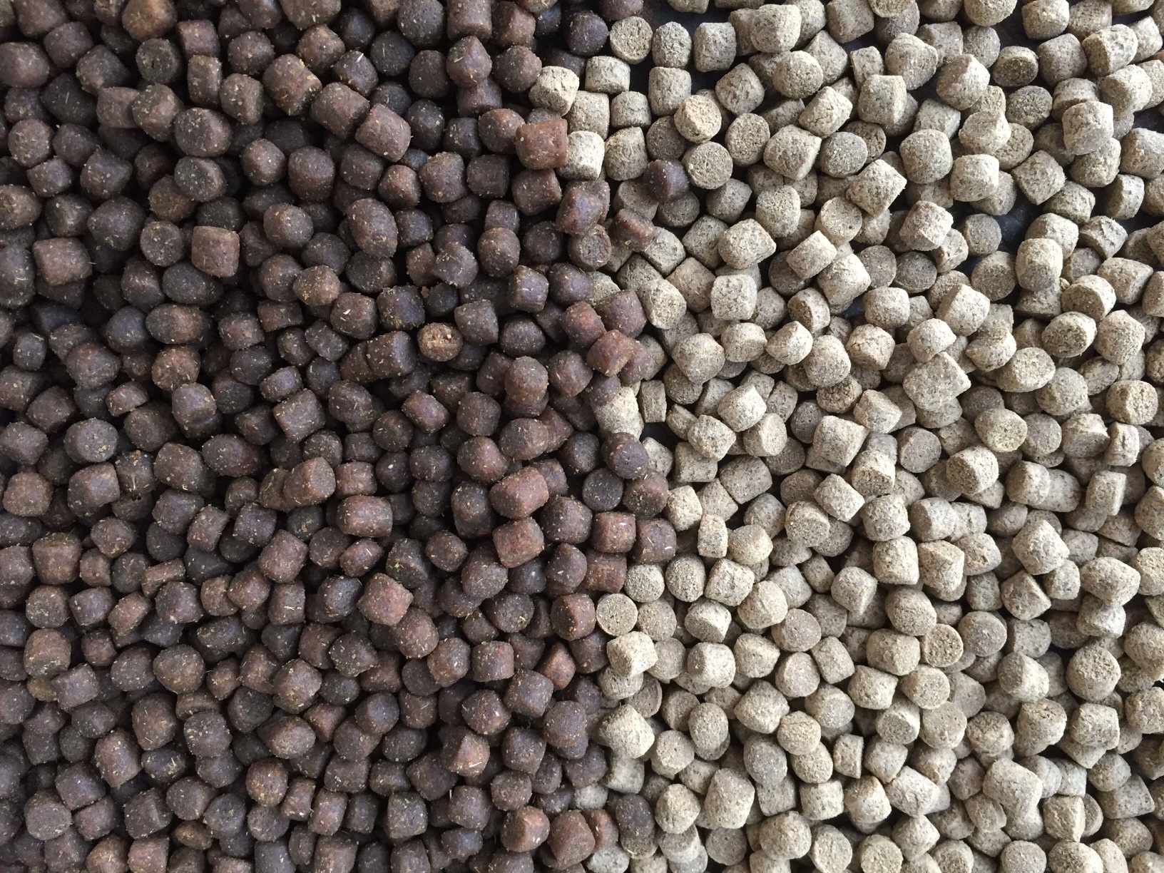 Sinking fish feed: Before and after vacuum coating